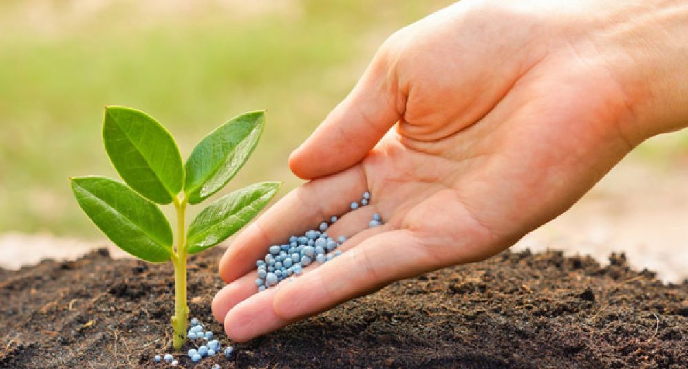 Удобрения, средства защиты растений